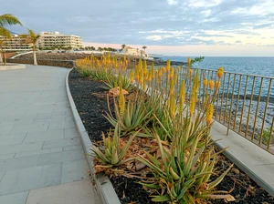 Promenade in Playa Paraiso - Espagne