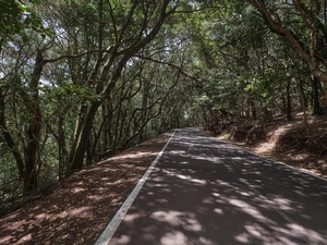 Parque rural de Anaga - Spagna