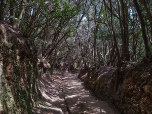 Parque rural de Anaga - España