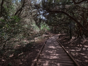 Parque rural de Anaga - España