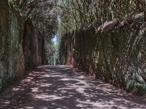 Parque rural de Anaga - España