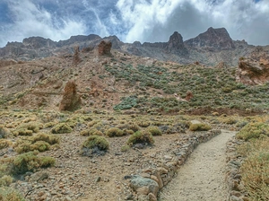 Zapatilla de La Reina - Spain