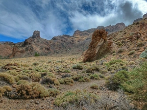 Zapatilla de La Reina - Spain