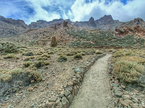 Zapatilla de La Reina - Spain