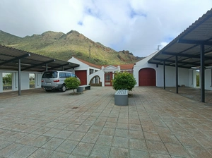 Mercadillo del Agricultor - Spain