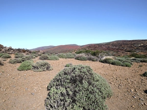 Roque del Caramujo - Spanien