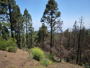 Montaña Grande - Spanien