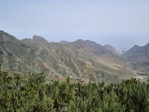 Llano de los Loros - Espagne