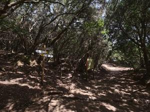 Llano de los Loros - Espagne