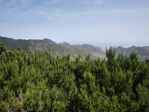 Llano de los Loros - Espagne