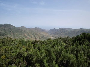 Llano de los Loros - Espagne