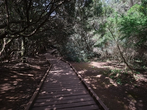 Llano de los Loros - Espagne