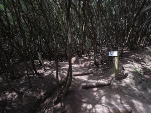 Llano de los Loros - Espagne