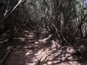 Llano de los Loros - Espagne