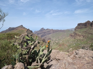 Mirador macizo de Teno - Espagne