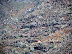 Mirador Punta Del Hidalgo - Espagne