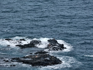 Mirador Punta Del Hidalgo - Espagne