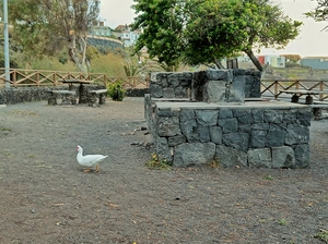 Parque recreativo El Carmen - Las Crucess - Espanha