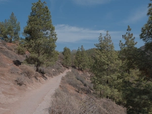 Roque Nublo - Spagna