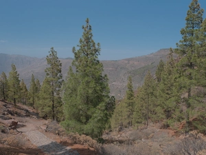 Roque Nublo - Spagna