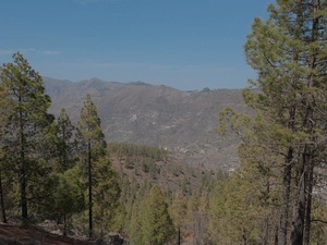 Roque Nublo - Spagna