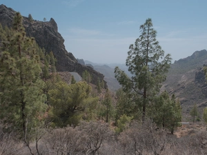 Roque Nublo - Espagne