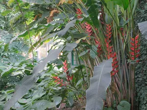 Jardín de la Marquesa - Spain