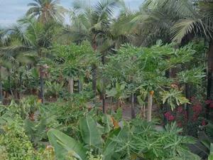 Jardín de la Marquesa - Spanien