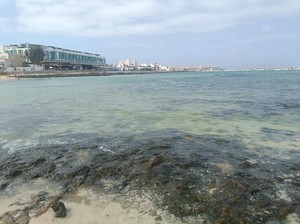 Playa de Corralejo Viejo - Espagne