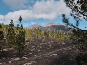 Pico de Teide - Espagne