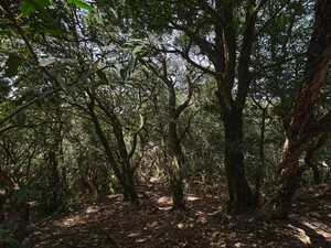 Mirador Cruz del Carmen - España