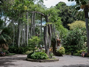 Jardin Botanique - Espagne