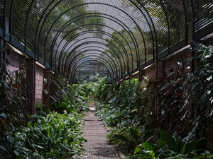 Jardin Botanique - España