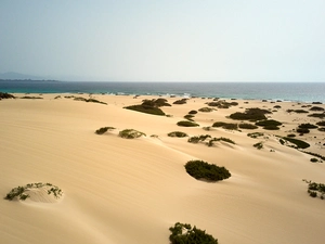 Parc naturel de Corralejo - Espanha