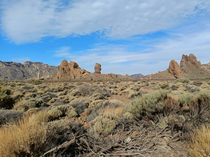 Parque Nacional del Teide - Spanien