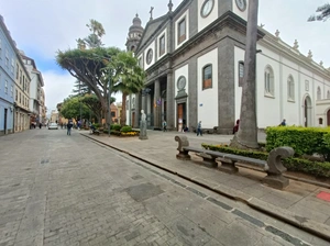 Catedral de la Laguna - Espagne