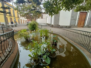 Catedral de la Laguna - Spanien