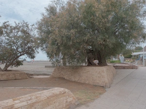 Playa de San Agustín - Spanien