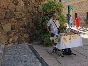 Alcazaba - Espanha