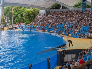 Loro Parque - Spanien