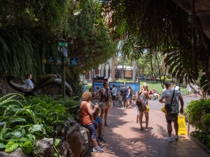 Loro Parque - España