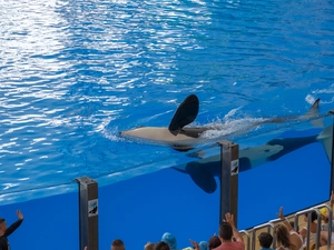 Loro Parque - España