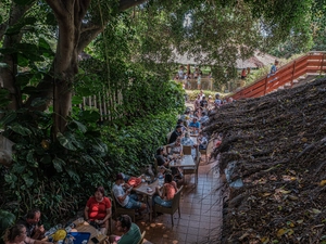 Loro Parque - Spanien