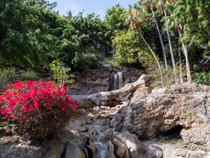 Loro Parque - Spanien