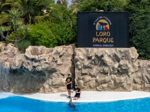 Loro Parque - Spanien