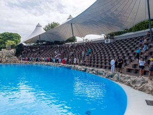 Loro Parque - Spanien