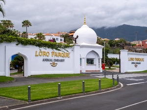 Loro Parque - Spanien