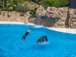 Loro Parque - Spanien