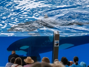 Loro Parque - España