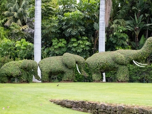 Loro Parque - Spanien